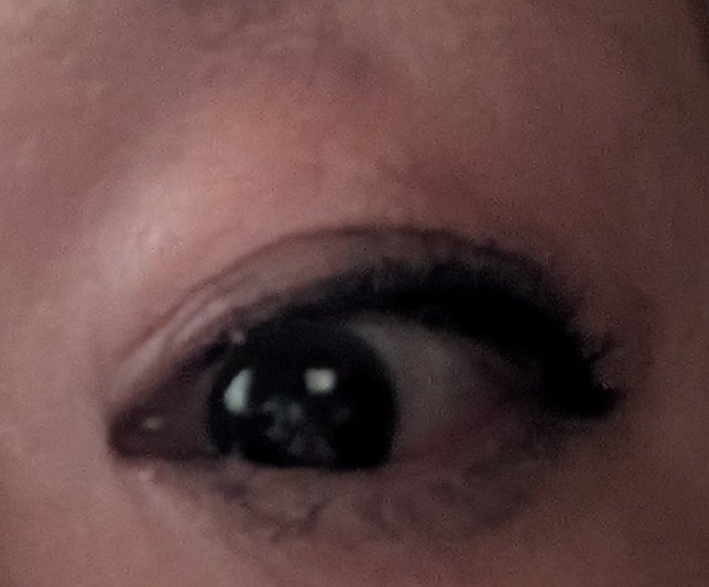 イロミッケ カラーリキッドアイライナー 09 メタリックブラウン(Metallic Brown)/iromikke/リキッドアイライナーを使ったクチコミ（2枚目）