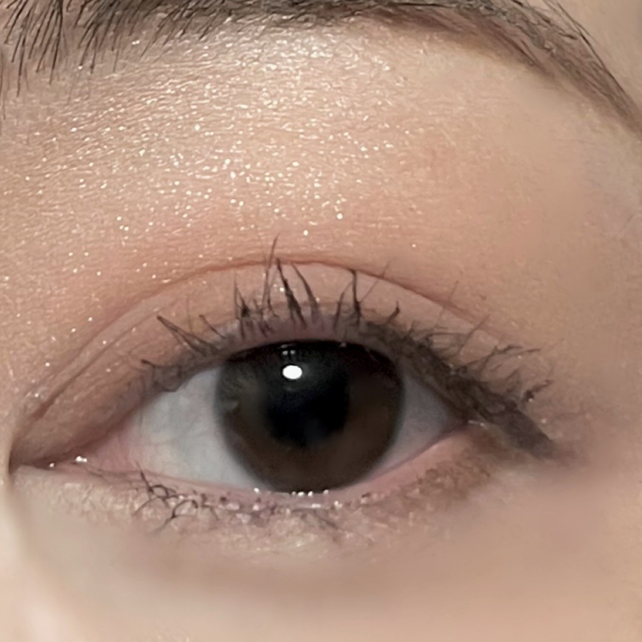 フェイスカラーパレット 508 愛されブラウン/チャコット・コスメティクス/アイシャドウパレットを使ったクチコミ（3枚目）