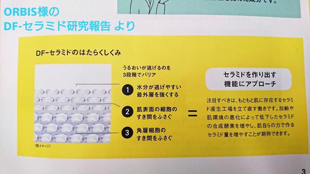 オルビス ディフェンセラ/オルビス/美容サプリメントを使ったクチコミ（2枚目）