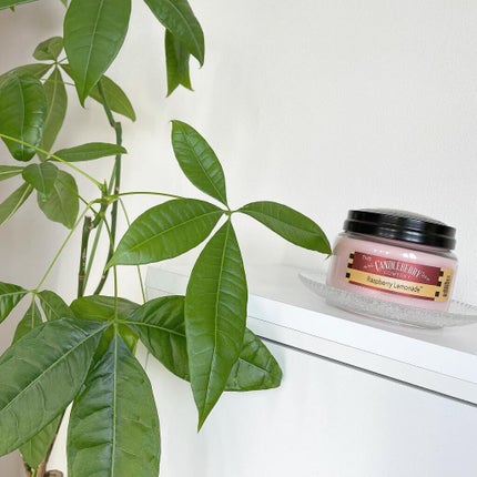 ðããŒããð¿âšãã©ãã100 on LIPS ã.ãã¡ãã¯ãCandleberryãã£ã³ãã«ããªãŒð¯ã¢ã¡ãªã«ã§..ãïŒ8æç®ïŒ