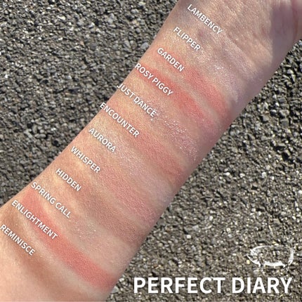 エクスプローラ12色 動物アイシャドウパレット/PERFECT DIARY/アイシャドウパレットを使ったクチコミ(4枚目)