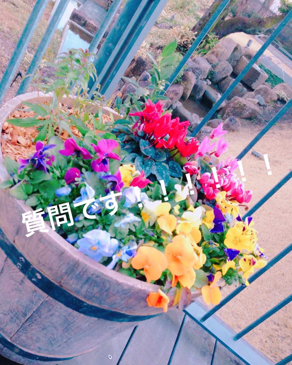 KanonðŠ on LIPS ã9åç®ïŒä»åºŠãåéãšãã£ãºããŒè¡ããã§ããã©çããã¯ã©ããªã¡ã€..ãïŒ1æç®ïŒ