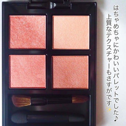 アディクション ザ アイシャドウ パレット/ADDICTION/アイシャドウパレットを使ったクチコミ(5枚目)