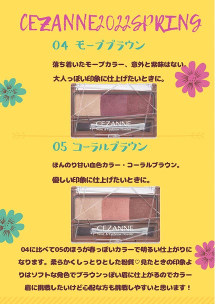 ノーズ&アイブロウパウダー/CEZANNE/パウダーアイブロウを使ったクチコミ(1枚目)