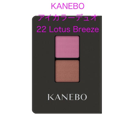 カネボウ アイカラーデュオ 22 Lotus Breeze/KANEBO/アイシャドウパレットを使ったクチコミ(3枚目)