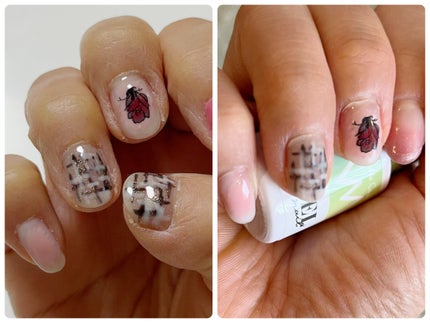 BRG ジェルネイル 41 マットコート/DAISO/ジェルネイルを使ったクチコミ(2枚目)