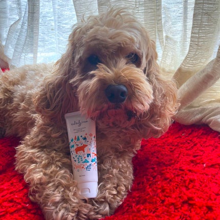 を使ったクチコミ(3枚目)