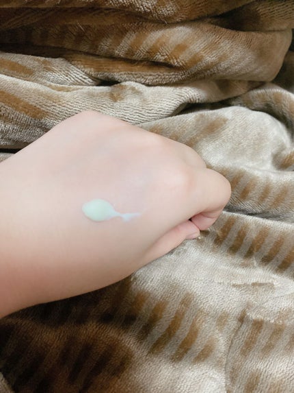 シカリッチクリーム/FUJI/フェイスクリームを使ったクチコミ(2枚目)