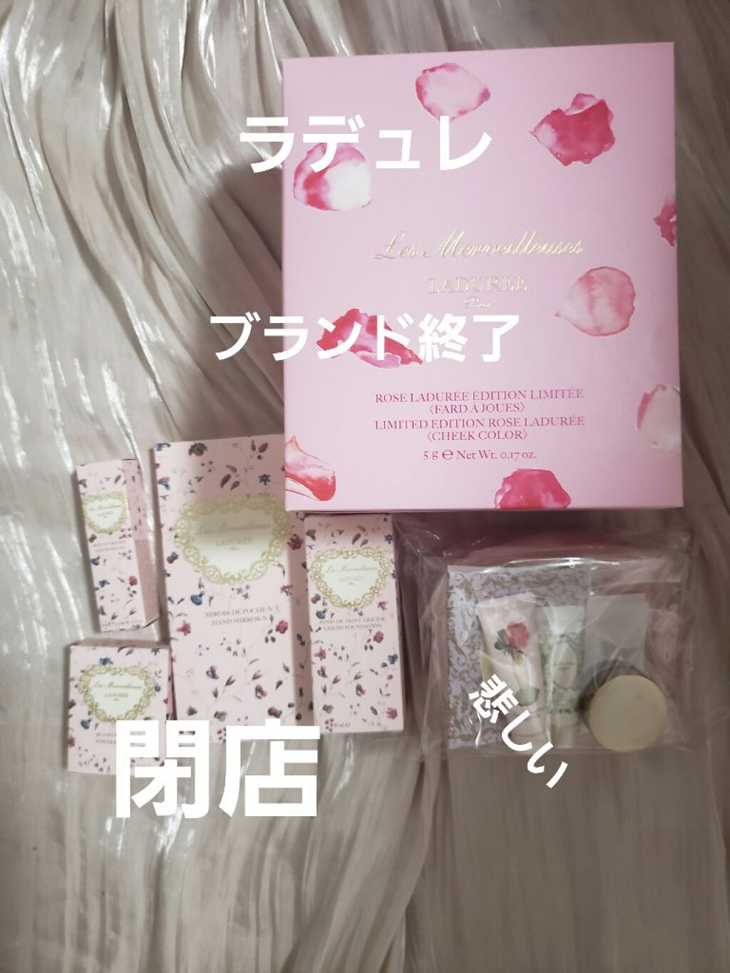 皆様いつも、いいね、フォロー、クリップ、コメントありがとうございます(❁´ω`❁)♡

レ・メルヴェイユーズ ラデュレさん

22年6月まで順次閉店だそうです…悲しい

クリスマスコフレのとき、花びらチークに憧れて

でもちょっとお高いので