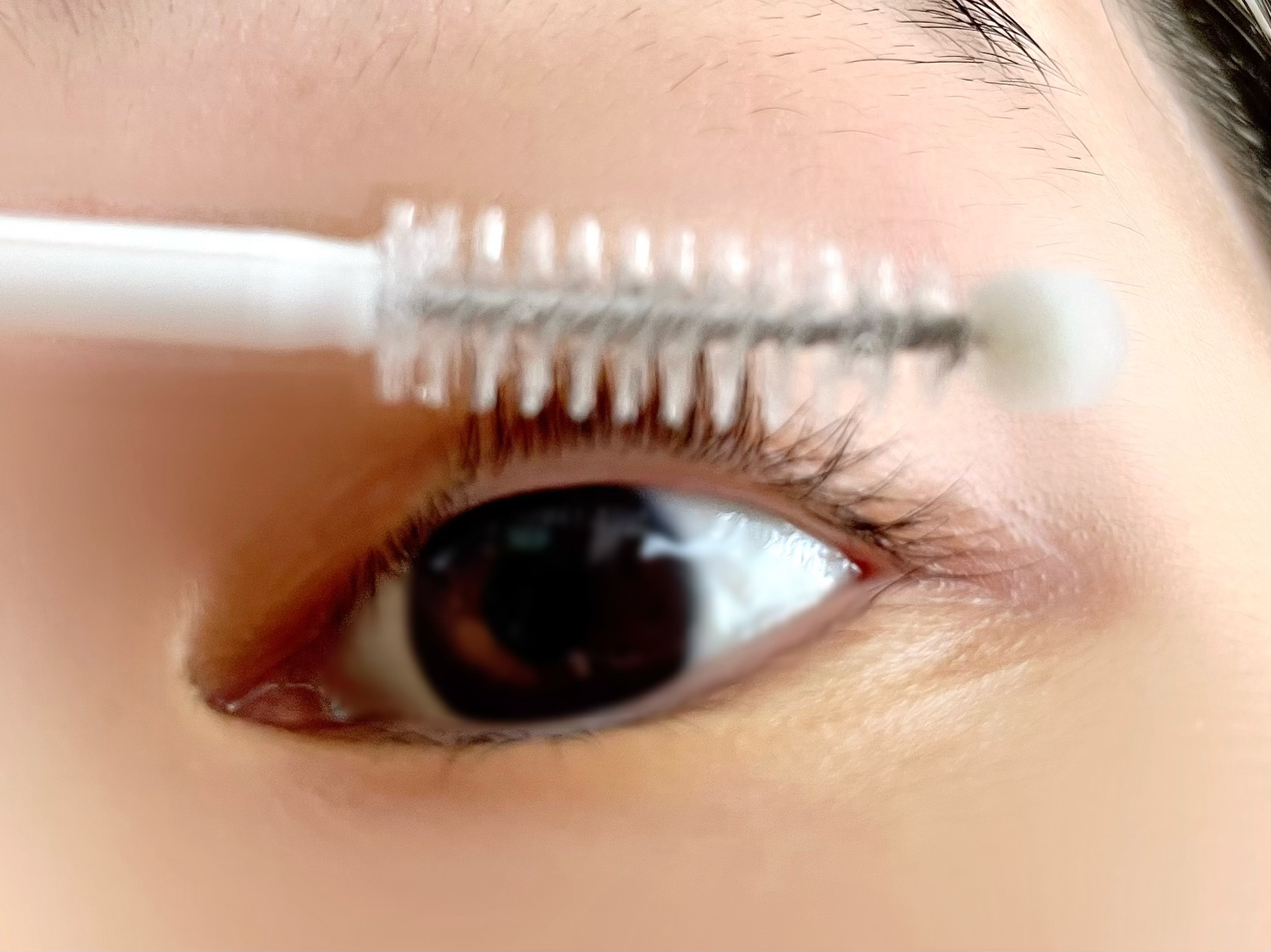 リアルミービオテノールラッシュアップアンプル/ベリサム/まつげ美容液を使ったクチコミ（3枚目）