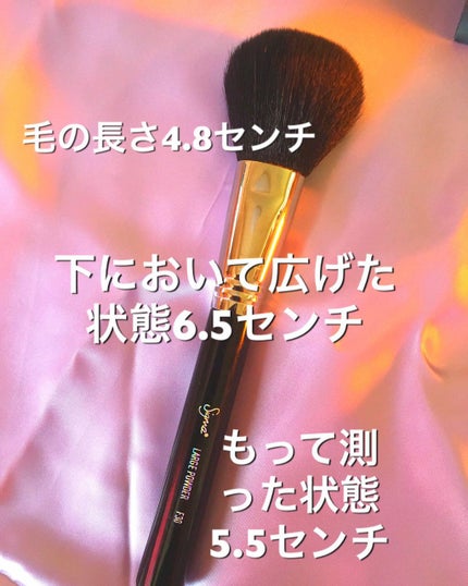 LARGE POWDER F30/Sigma Makeup(海外)/メイクブラシを使ったクチコミ(4枚目)