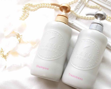 シャンプー/トリートメント DN ダメージケア/CLAYGE/シャンプー・コンディショナーを使ったクチコミ(1枚目)