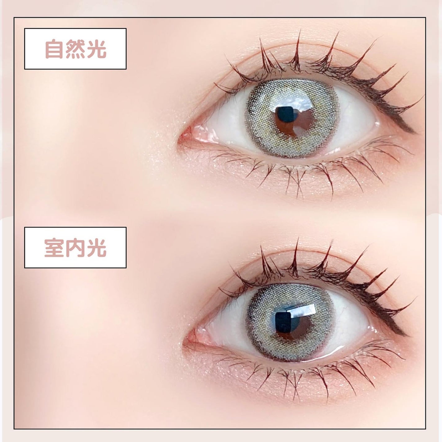 シルエットワンデー/LensVery/ワンデー(1DAY)カラコンを使ったクチコミ(3枚目)