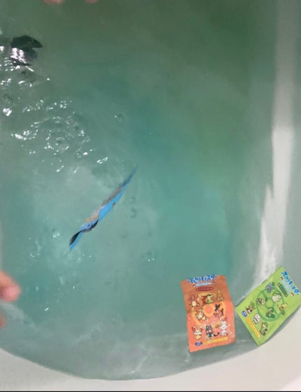 ポケモンバスパウダー/タカラトミー/入浴剤を使ったクチコミ(6枚目)