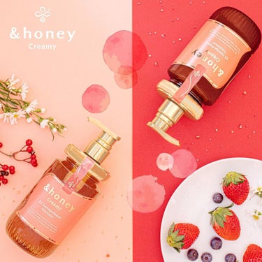 Creamy EXダメージリペアシャンプー1.0/ヘアトリートメント2.0/&honey/シャンプー・コンディショナーを使ったクチコミ（1枚目）