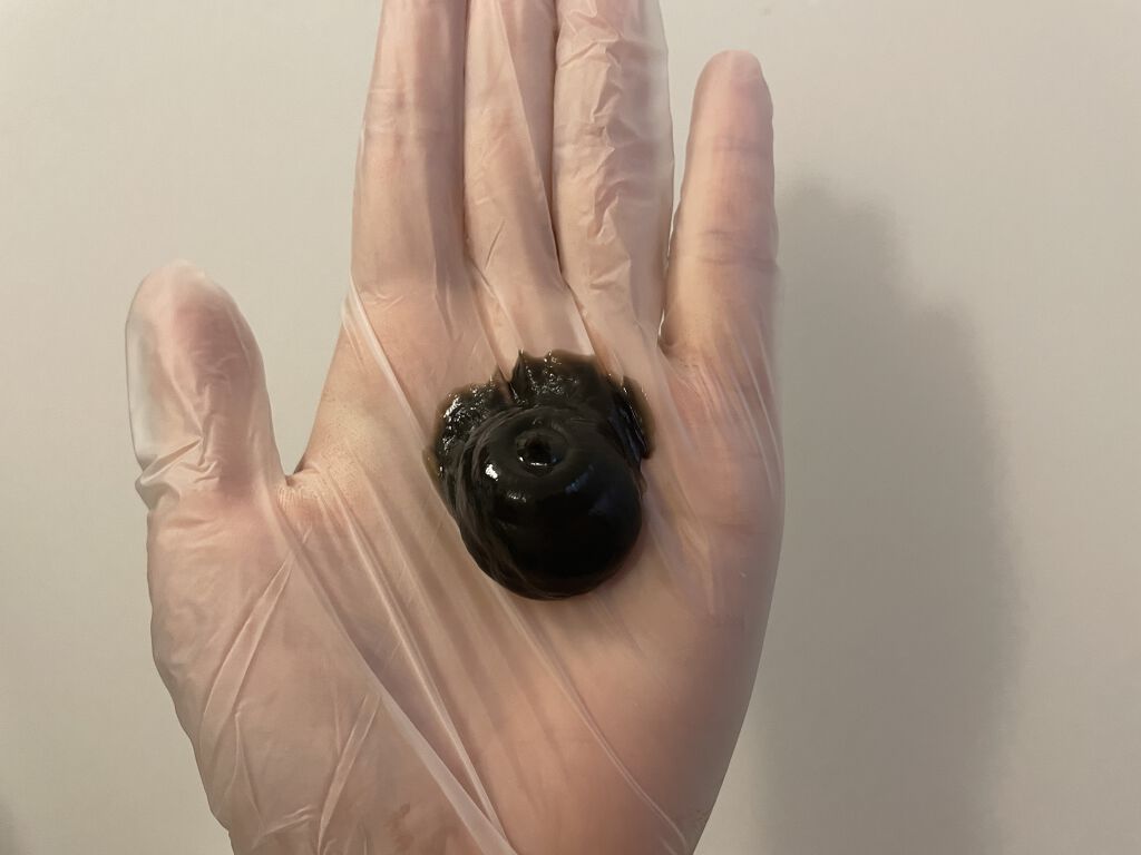 カラートリートメント/ティントバー/ヘアカラーを使ったクチコミ（2枚目）