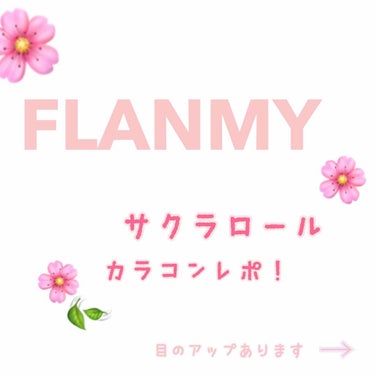 
🌸  FLANMY サクラロール 🌸

DIA:14.5
BC:8.6

佐々木希さんがイメージモデルをしてるカラコン
めちゃくちゃ自然！笑
いい意味でも悪い意味でも自然！笑
自然すぎて私には物足りな