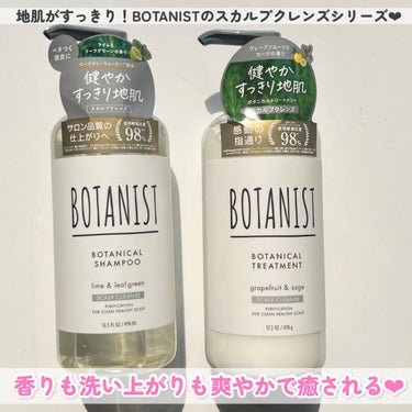 ボタニカルシャンプー／トリートメント(スカルプクレンズ)  トリートメント/BOTANIST/シャンプー・コンディショナーを使ったクチコミ（2枚目）