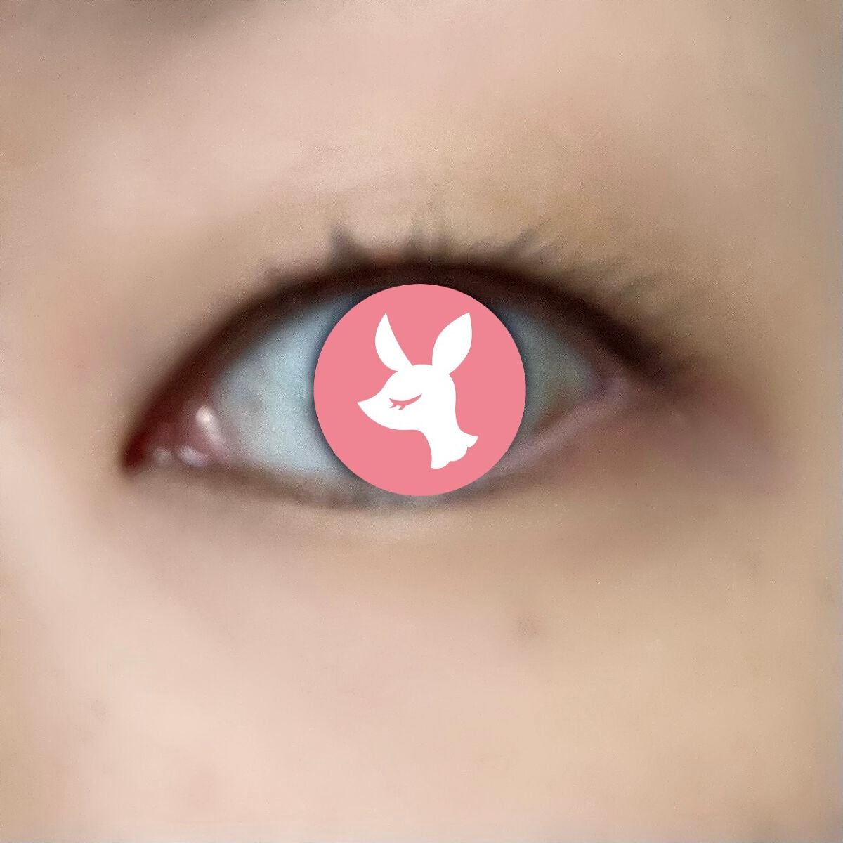 Ririn on LIPS 「伊勢半様から〝ヒロインメイク ロング&カールマスカラ アドバン..」(2枚目)