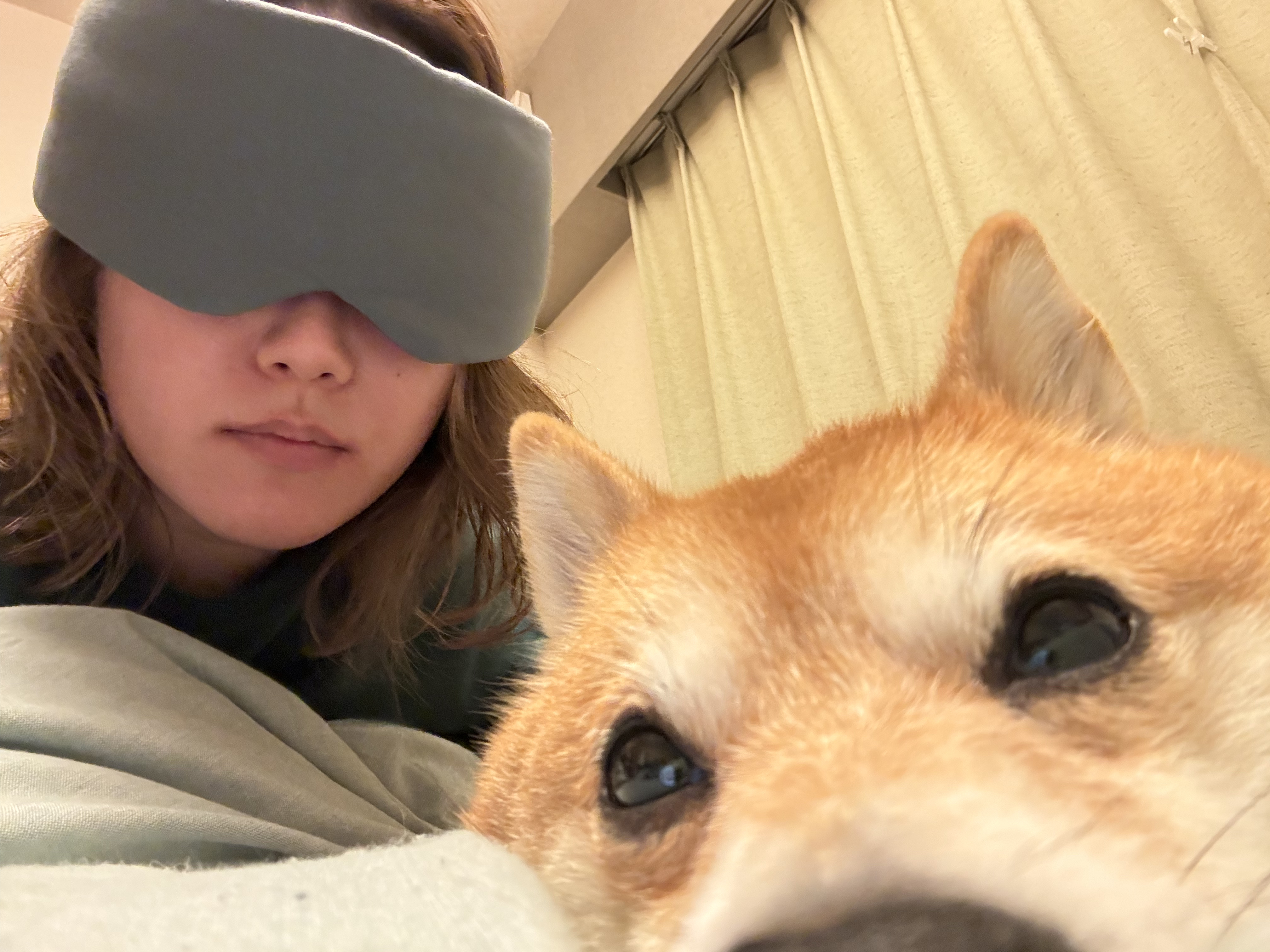 コンディショニング アイマスク/NEYO/ホットアイマスクを使ったクチコミ（3枚目）