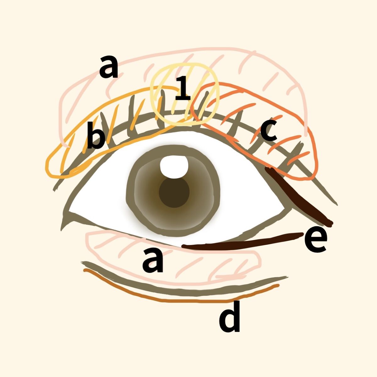 ロング＆カールマスカラ アドバンストフィルム/ヒロインメイク/マスカラを使ったクチコミ（3枚目）