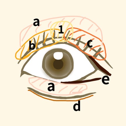 パーフェクトマルチアイズ/キャンメイク/アイシャドウパレットを使ったクチコミ(3枚目)