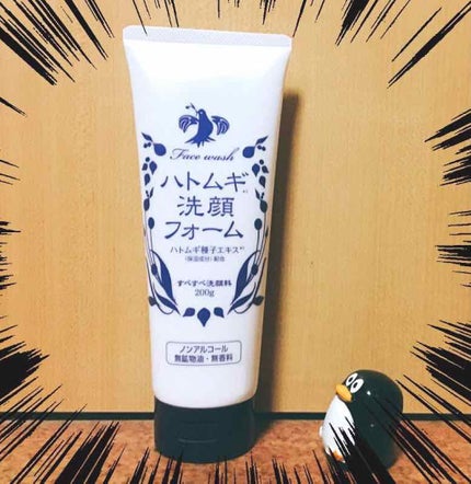 ハトムギ洗顔フォーム/株式会社イヴ/洗顔フォームを使ったクチコミ(1枚目)