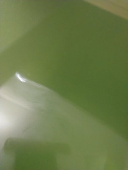 汗かきエステ気分 プレミアムアソートボックス/マックス/入浴剤セットを使ったクチコミ(2枚目)