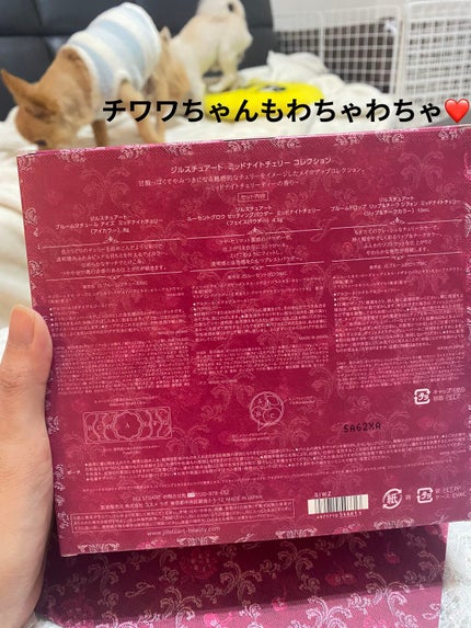 ジルスチュアート ミッドナイトチェリー コレクション/JILL STUART/メイクアップキットを使ったクチコミ(10枚目)