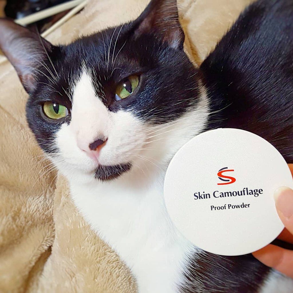 SC プルーフパウダーA/マーシュ・フィールド/ルースパウダーを使ったクチコミ（1枚目）