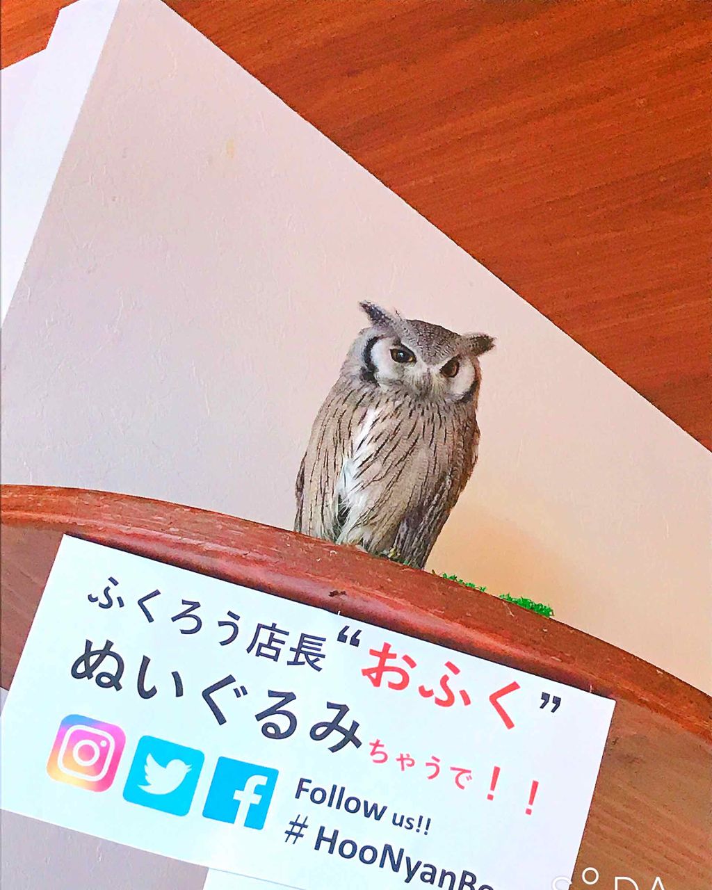 りんご女王 on LIPS 「すみません。勉強ピークであまり携帯が触れなくて。どうもお待たせ..」(3枚目)