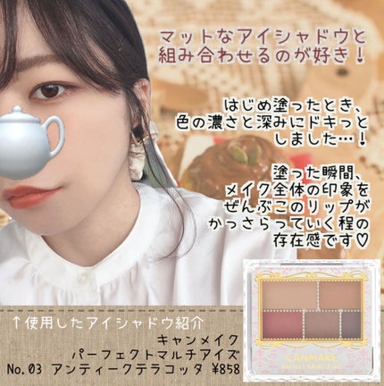 パーフェクトマルチアイズ/キャンメイク/アイシャドウパレットを使ったクチコミ(5枚目)