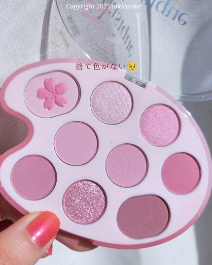 シャドウパレット/dasique/アイシャドウパレットを使ったクチコミ(3枚目)