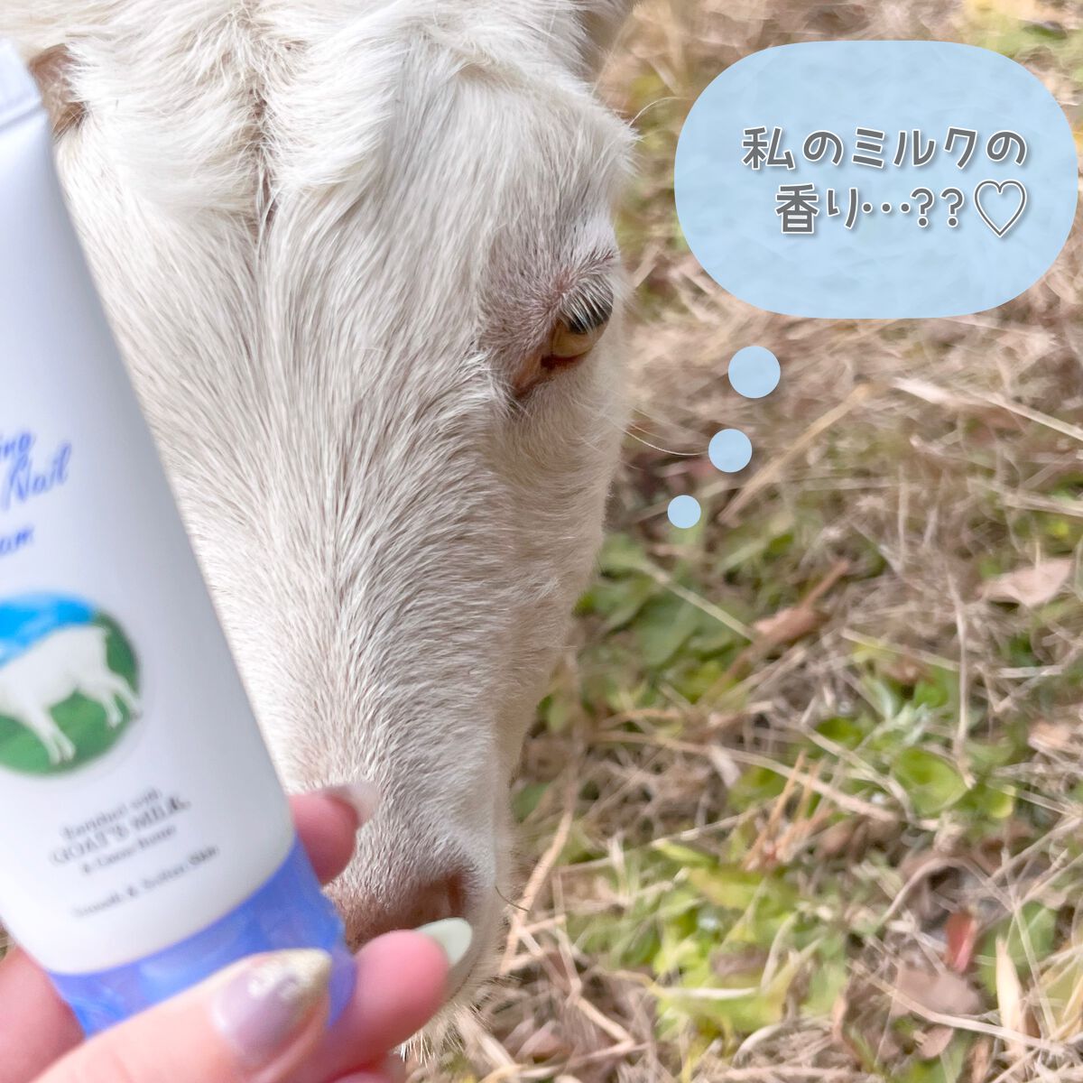 レイヴィー ハンド&ネイルクリームゴートミルク/Leivy/ハンドクリームを使ったクチコミ(6枚目)