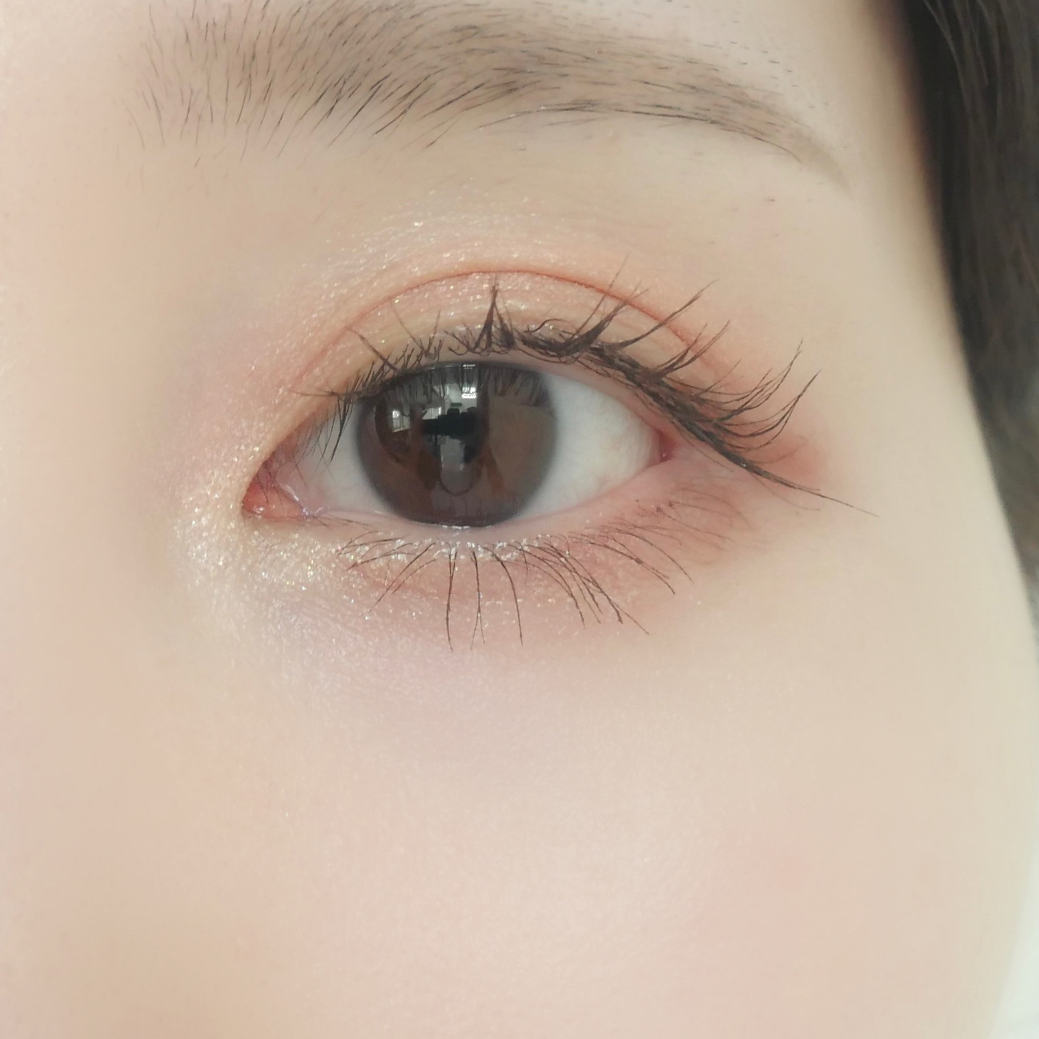 ミッドサマーフェアリーテイルズコレクション 5色アイシャドウパレット 02 Flora Hermitage/FlowerKnows/アイシャドウパレットを使ったクチコミ（2枚目）