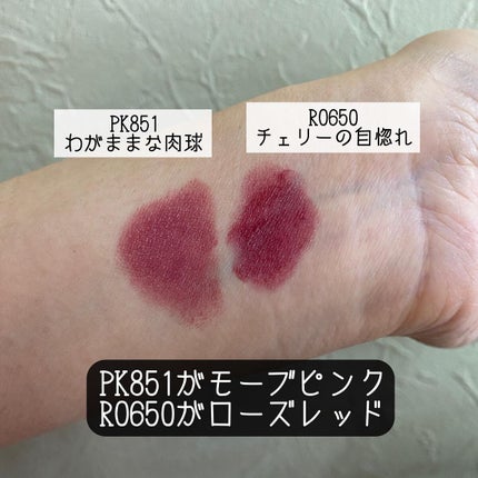 ネンマクフェイク ルージュ/Visée/口紅を使ったクチコミ(3枚目)