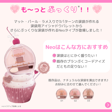 プランぷくコーデアイズNeo/キャンメイク/アイシャドウを使ったクチコミ(2枚目)