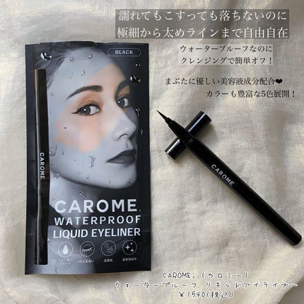 ウォータープルーフ リキッドアイライナー/CAROME./リキッドアイライナーを使ったクチコミ(1枚目)