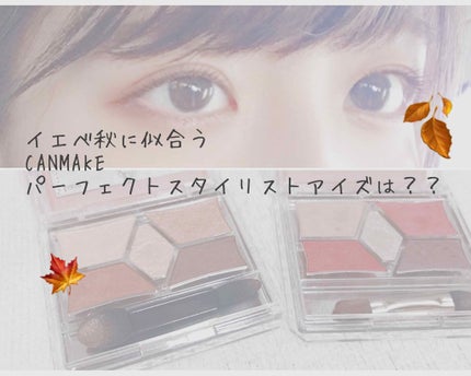 【旧品】パーフェクトスタイリストアイズ/キャンメイク/アイシャドウパレットを使ったクチコミ(1枚目)