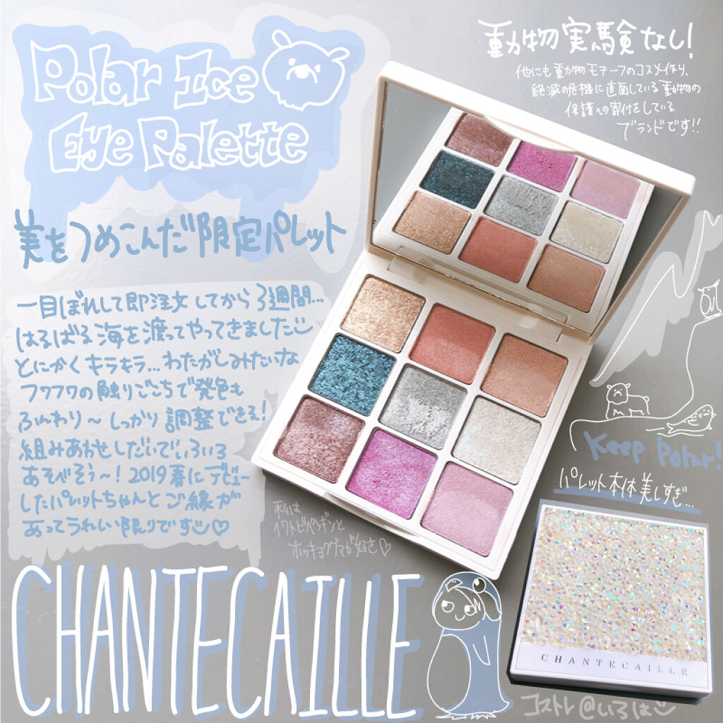 Polar Ice Eye Palette/シャンテカイユ/アイシャドウパレットを使ったクチコミ（1枚目）