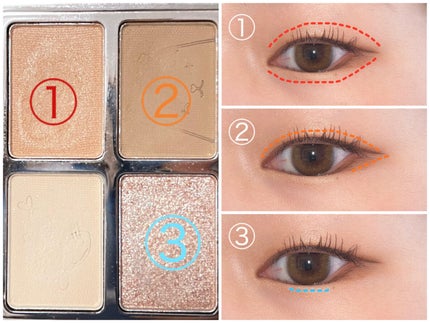 アニマルアイシャドウ(4シェード)/ZEESEA/アイシャドウパレットを使ったクチコミ(2枚目)