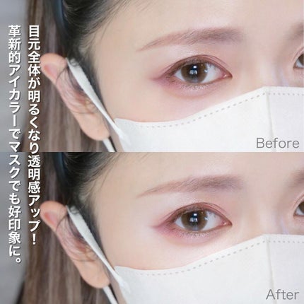 パノラマデザイン アイパレット/Visée/アイシャドウパレットを使ったクチコミ(2枚目)