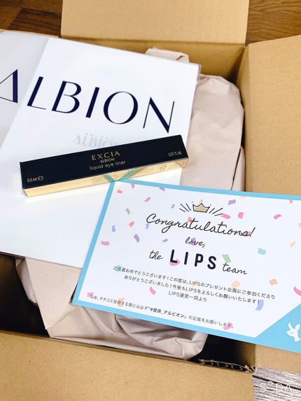 エクシア リクイッド アイライナー/ALBION/リキッドアイライナーを使ったクチコミ(2枚目)