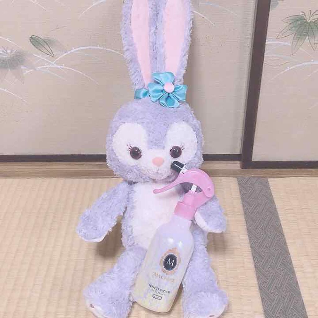 パーフェクトシャワー(しっとり) EX/MACHERIE/プレスタイリング・寝ぐせ直しを使ったクチコミ（2枚目）