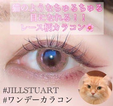 JILL STUART 1day UV/JILL STUART/ワンデー（１DAY）カラコンを使ったクチコミ（1枚目）