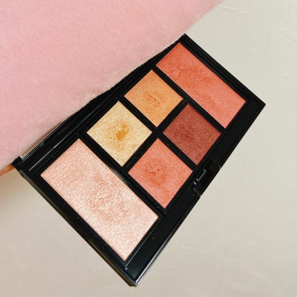 アイ & チーク コンパクトアディクション “ストーリー オブ ライフ”/ADDICTION/アイシャドウパレットを使ったクチコミ(2枚目)