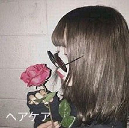 豚毛ブラシ/DAISO/ヘアブラシを使ったクチコミ(1枚目)