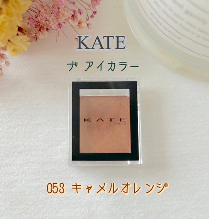 ケイト ザ アイカラー/KATE/単色アイシャドウを使ったクチコミ(1枚目)
