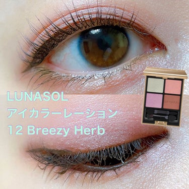 アイカラーレーション 12 Breezy Herb/LUNASOL/アイシャドウパレットを使ったクチコミ（1枚目）