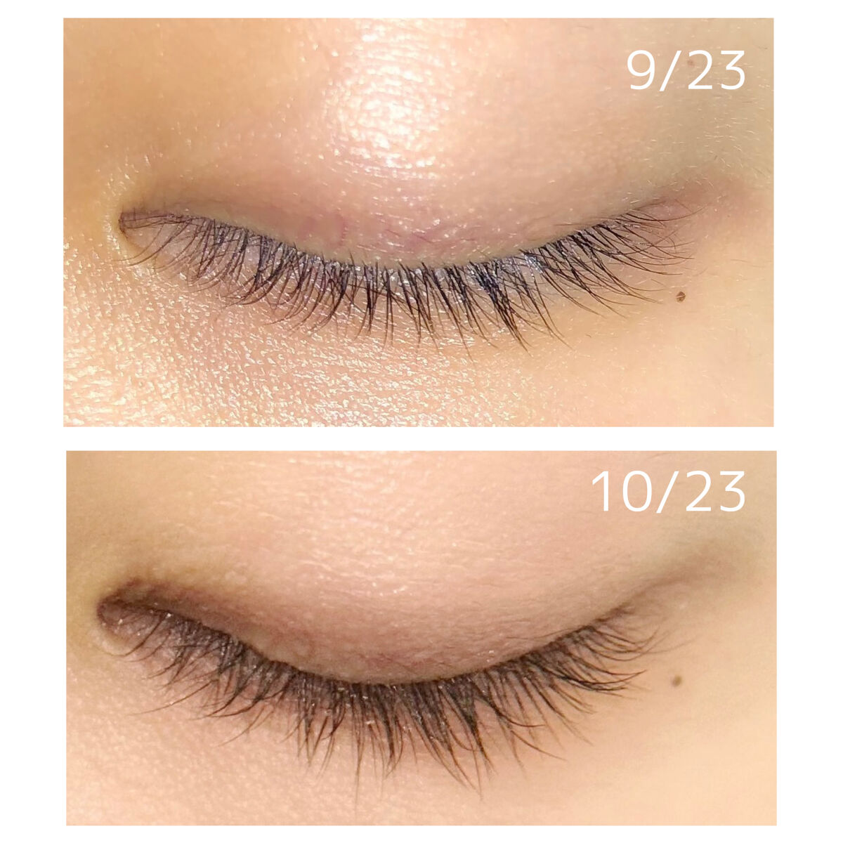 ラッシュアディクト アイラッシュコンディショニングセラム/soaddicted/まつげ美容液を使ったクチコミ（2枚目）